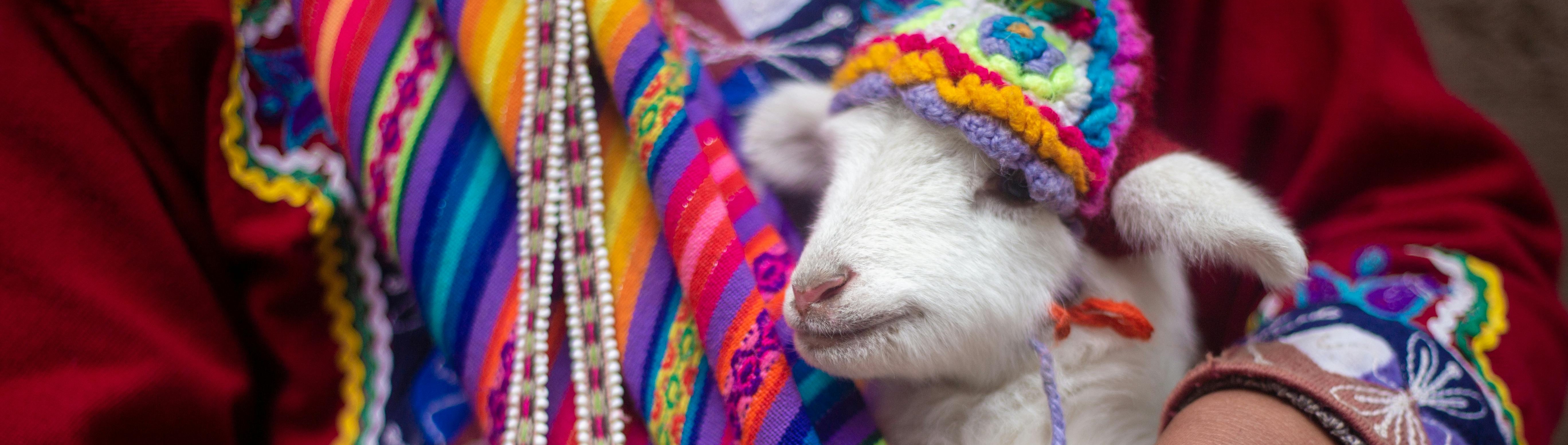 🎉 Festivals in Peru